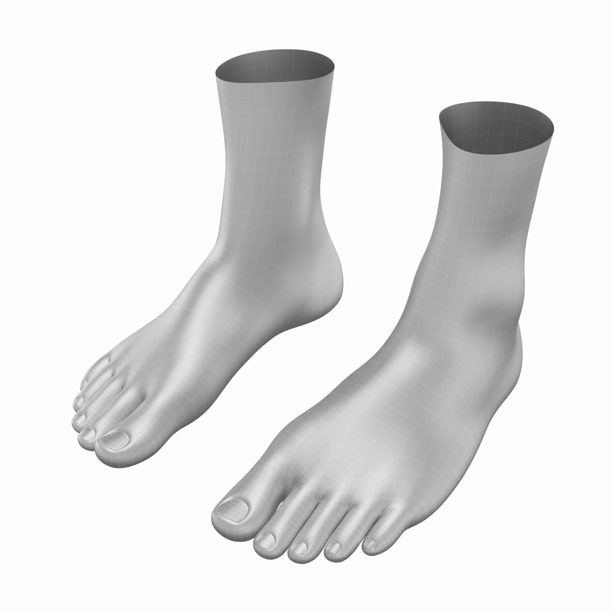 Piedi umani in posizione eretta Maglia di base Modello 3D .c4d .max .obj .3ds .fbx .stl .blend