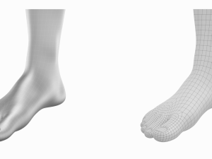 Human Feet In Standing Position Base Mesh 3D Модель