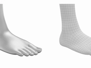 Piedi umani in posizione eretta Maglia di base Modello 3D