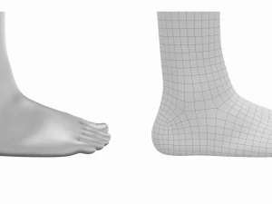 Piedi umani in posizione eretta Maglia di base Modello 3D