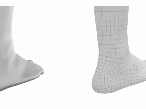 Piedi umani in posizione eretta Maglia di base Modello 3D