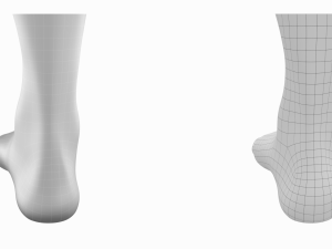 Human Feet In Standing Position Base Mesh 3D Модель