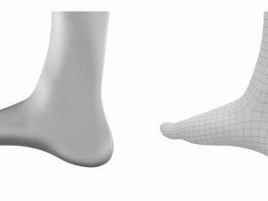 Piedi umani in posizione eretta Maglia di base Modello 3D