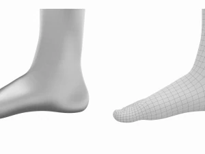 Piedi umani in posizione eretta Maglia di base Modello 3D