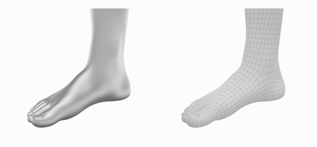 Human Feet In Standing Position Base Mesh 3D Model in Anatomy 3DExport