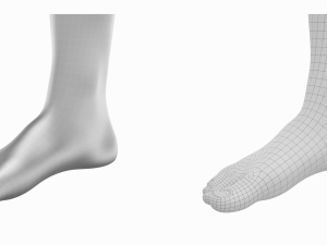 Human Feet In Standing Position Base Mesh 3D Модель