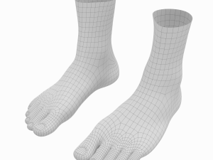 Human Feet In Standing Position Base Mesh 3D Модель