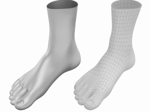 Piedi umani in posizione eretta Maglia di base Modello 3D