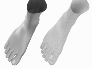Human Feet In Standing Position Base Mesh 3D Модель