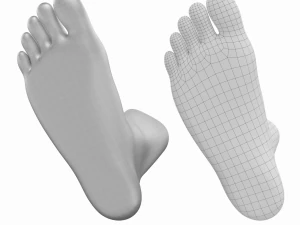 Piedi umani in posizione eretta Maglia di base Modello 3D