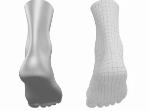 Piedi umani in posizione eretta Maglia di base Modello 3D