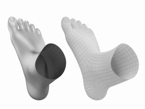 Piedi umani in posizione eretta Maglia di base Modello 3D