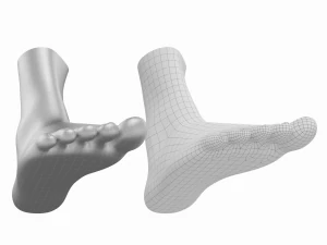 Piedi umani in posizione eretta Maglia di base Modello 3D