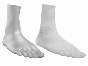 Piedi umani in posizione eretta Maglia di base Modello 3D