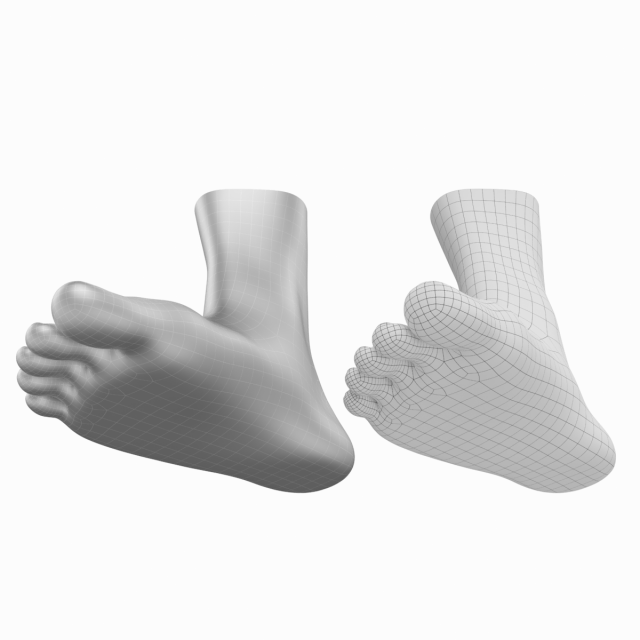 Human feet toe 3D low poly render. Polygonal gray white monochrome