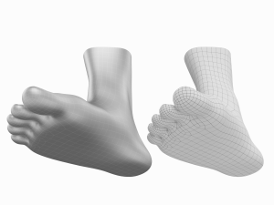 Human Feet In Standing Position Base Mesh 3D Модель