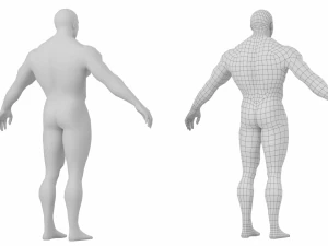 Bodybuilder Male Base Mesh in A-Pose 3D Model