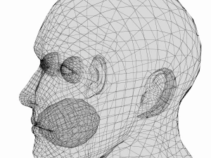 Bodybuilder Male Base Mesh in A-Pose 3D Model