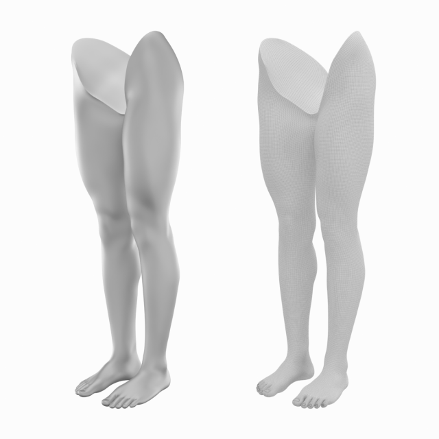 Female Legs Anatomical Base Mesh 3D Модель in Женщина 3DExport