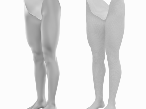 Female Legs Anatomical Base Mesh 3D 模型