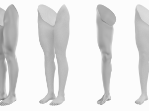 Female Legs Anatomical Base Mesh Modelo 3D