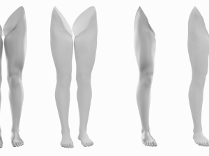Female Legs Anatomical Base Mesh Modelo 3D