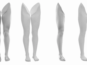 Maglia Base Anatomica Gambe Femminili Modello 3D