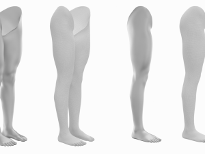 Female Legs Anatomical Base Mesh Modelo 3D