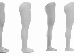 Maglia Base Anatomica Gambe Femminili Modello 3D