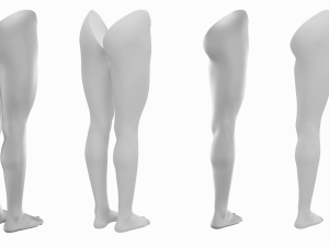 Female Legs Anatomical Base Mesh Modelo 3D