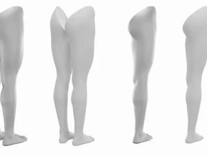 Maglia Base Anatomica Gambe Femminili Modello 3D