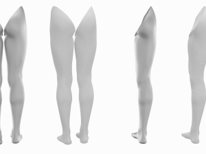 Female Legs Anatomical Base Mesh Modelo 3D