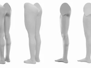 Maglia Base Anatomica Gambe Femminili Modello 3D