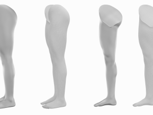 Female Legs Anatomical Base Mesh Modelo 3D