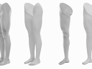 Female Legs Anatomical Base Mesh Modelo 3D