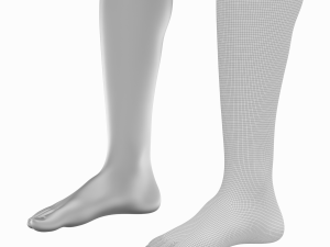 Female Legs Anatomical Base Mesh Modelo 3D