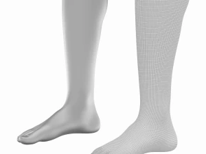 Maglia Base Anatomica Gambe Femminili Modello 3D