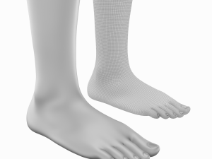 Female Legs Anatomical Base Mesh Modelo 3D
