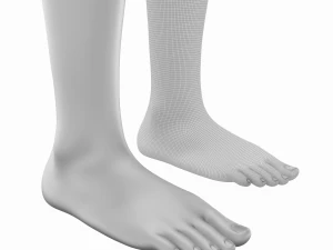 Maglia Base Anatomica Gambe Femminili Modello 3D