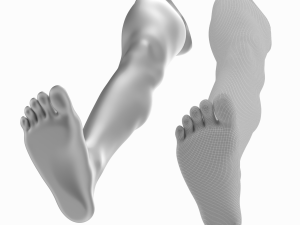 Female Legs Anatomical Base Mesh Modelo 3D