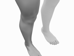 Female Legs Anatomical Base Mesh Modelo 3D