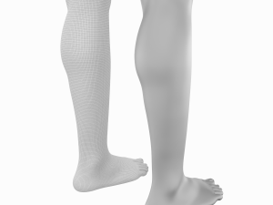 Female Legs Anatomical Base Mesh Modelo 3D