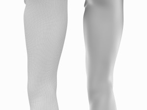Female Legs Anatomical Base Mesh Modelo 3D