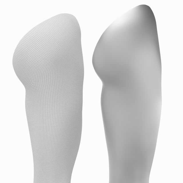 Female Legs Anatomical Base Mesh 3D Model in Woman 3DExport