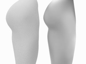 Female Legs Anatomical Base Mesh Modelo 3D