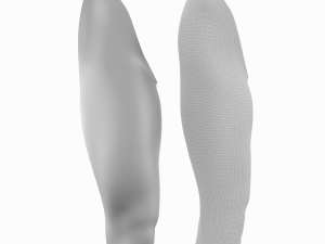Female Legs Anatomical Base Mesh Modelo 3D