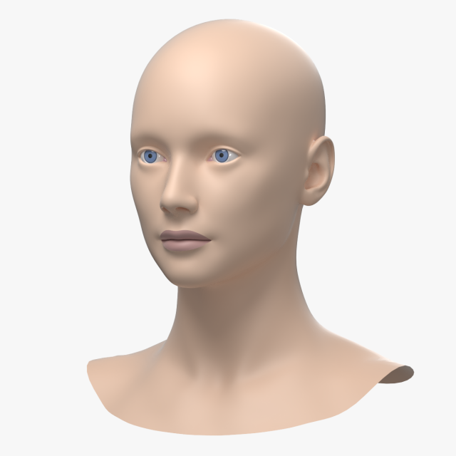 Natural Female Head 01 Base Mesh Modelo 3D .c4d .max .obj .3ds .fbx .stl .blend 