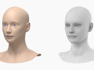 Natural Female Head 01 Base Mesh Modelo 3D