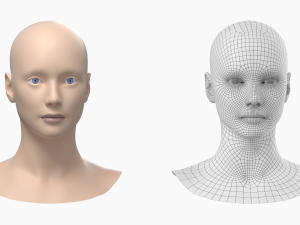 Natural Female Head 01 Base Mesh Modelo 3D