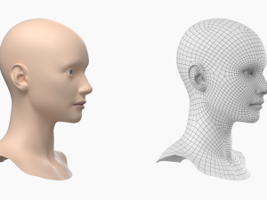 Natural Female Head 01 Base Mesh Modelo 3D